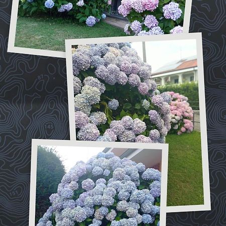 B&B L'Ortensia Vignolo Екстериор снимка