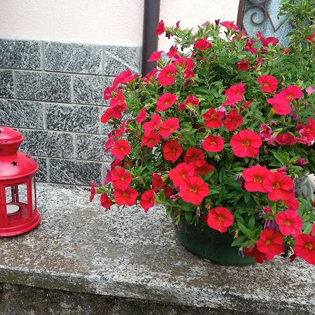 B&B L'Ortensia Vignolo Екстериор снимка