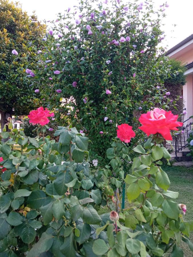B&B L'Ortensia Vignolo Екстериор снимка