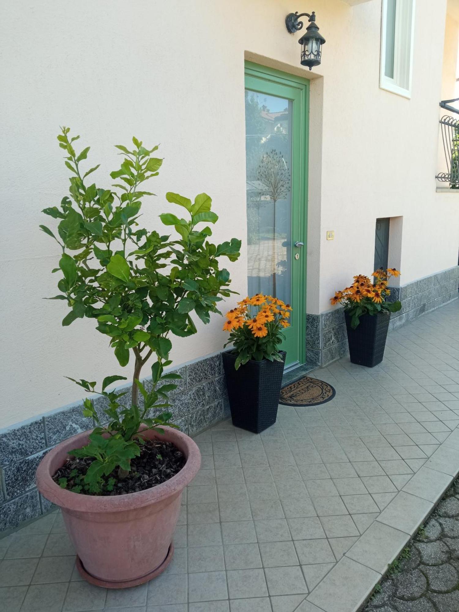 B&B L'Ortensia Vignolo Екстериор снимка